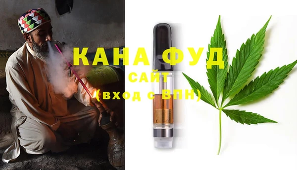 дурь Инсар