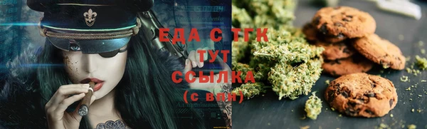 дурь Инсар