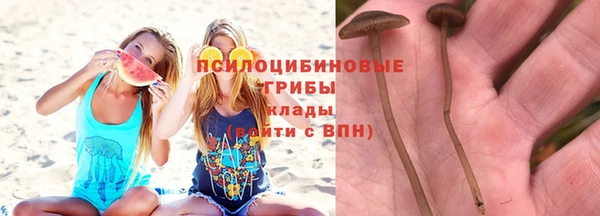 дурь Инсар