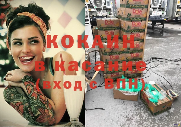 дурь Инсар