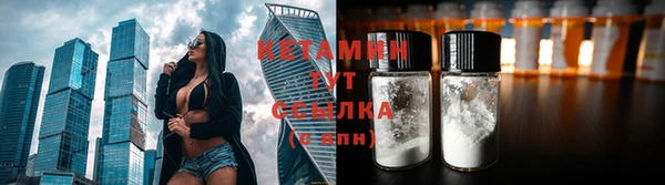 мяу мяу мука Иннополис