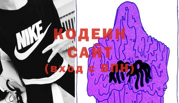 мяу мяу мука Иннополис