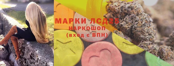дурь Инсар