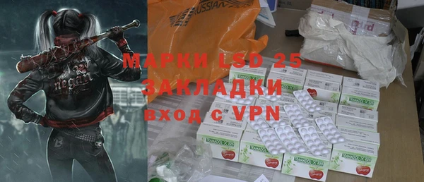 мяу мяу мука Иннополис