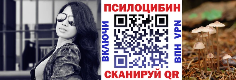 Купить  Жигулёвск  Псилоцибиновые грибы Psilocybine cubensis 